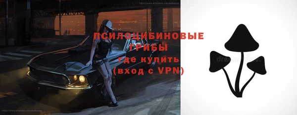 apvp Медвежьегорск