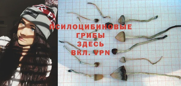 apvp Медвежьегорск