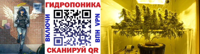 Конопля SATIVA & INDICA  наркота  Ува 